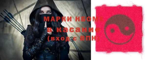 индика Аркадак