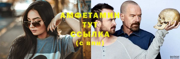 хмурый Арсеньев