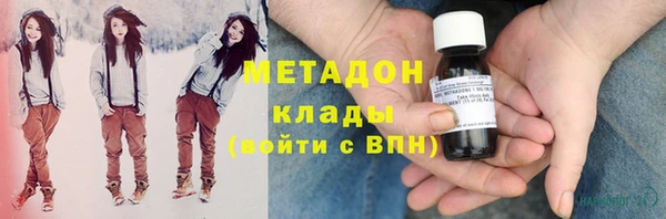 индика Аркадак