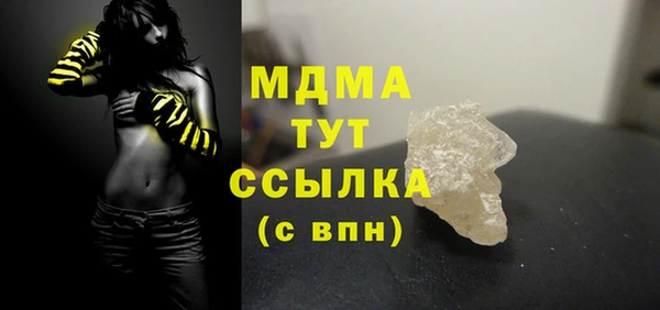 хмурый Арсеньев