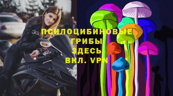 хмурый Арсеньев