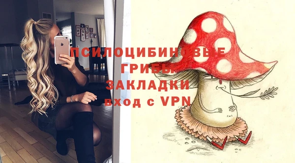 индика Аркадак