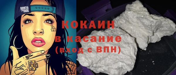 хмурый Арсеньев