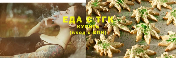 хмурый Арсеньев