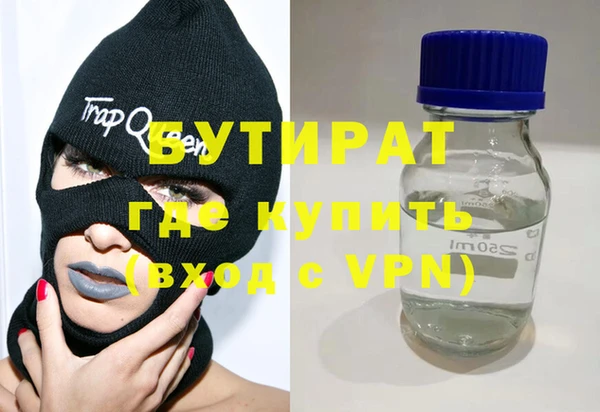 индика Аркадак