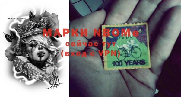 хмурый Арсеньев