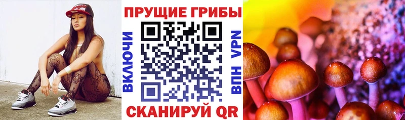 закладки  блэк спрут как зайти  Псилоцибиновые грибы мицелий  Полярные Зори 